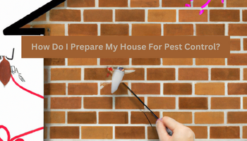 How Do I Prepare My House For Pest Control