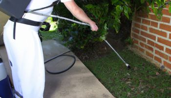 Man doing pest control in Brisbane