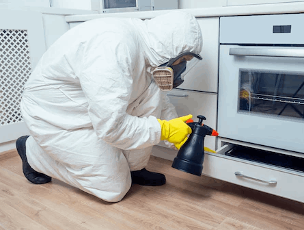 Effective Pest Control Services for Businesses
